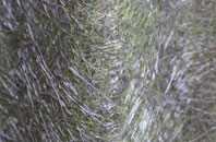 Kinbrace fibreglass roof work